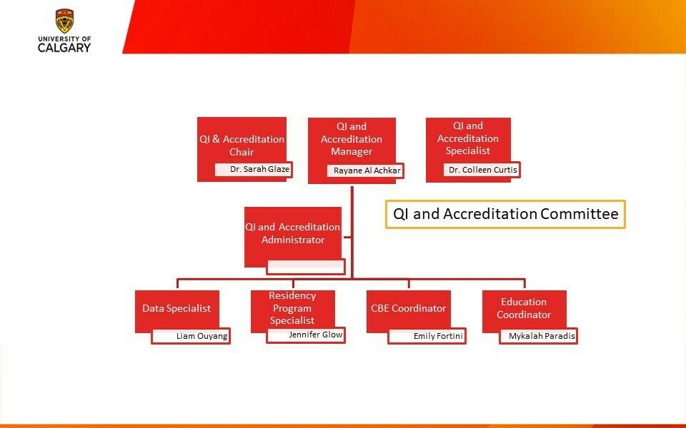 Qi and Accreditation Org Chart 